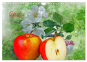 Obst (Wandkalender 2024 DIN A4 quer), CALVENDO Monatskalender