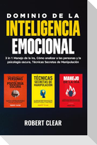 Dominio de la Inteligencia Emocional