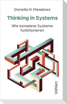 Thinking in Systems