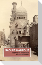 Essays of the Early Mubarak Years