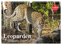 Leoparden. Elegante Jäger (Wandkalender 2024 DIN A3 quer), CALVENDO Monatskalender