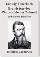 Grundsätze der Philosophie der Zukunft (Großdruck)