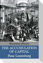 The Accumulation of Capital