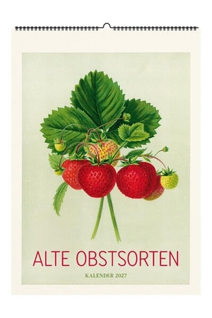 Alte Obstsorten. Wandkalender 2027 - Mit 13 historischen Abbildungen. Favoritenpresse, 2026.