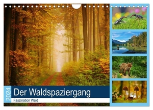 Klapp, Lutz. Der Waldspaziergang (Wandkalender 2024 DIN A4 quer), CALVENDO Monatskalender - Der herrliche deutsche Wald ist immer einen Besuch wert.. Calvendo, 2023.