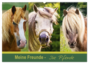 Meine Freunde - die Pferde (Wandkalender 2025 DIN A2 quer), CALVENDO Monatskalender