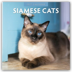 Red, Robin. Siamese Cats - Siamkatzen - Siamesische Katzen 2027 - 16-Monatskalender - Original Red Robin Publishing Ltd-Kalender [Mehrsprachig] [Kalender]. Browntrout Verlags GmbH, 2026.
