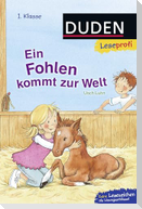 Leseprofi - Ein Fohlen kommt zur Welt, 1. Klasse