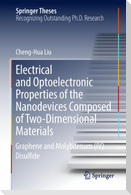 Electrical and Optoelectronic Properties of the Nanodevices Composed of Two-Dimensional Materials
