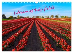Meyer Stimmungsbilder1, Marion. I dream of tulip fields (Wall Calendar 2024 DIN A3 landscape), CALVENDO 12 Month Wall Calendar - Impressive photos of tulip fields show up. Calvendo, 2023.