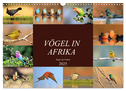 Vögel in Afrika - Magie der Farben (Wandkalender 2025 DIN A3 quer), CALVENDO Monatskalender