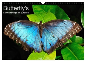 Bade, Uwe. Butterfly's - Schmetterlinge für Zuhause (Wandkalender 2024 DIN A3 quer), CALVENDO Monatskalender - Einheimische und tropische Schmetterlinge in schillernden Farben. Calvendo Verlag, 2023.
