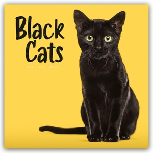 Carousel Calendar. Black Cats - Schwarze Katzen 2027 - Wand-Kalender - Original Carousel-Kalender [Mehrsprachig] [Kalender]. Browntrout Verlags GmbH, 2026.