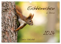 Eichhörnchen in Berlin (Wandkalender 2024 DIN A3 quer), CALVENDO Monatskalender