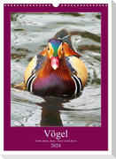 Vögel - Große, kleine, bunte (Wandkalender 2024 DIN A3 hoch), CALVENDO Monatskalender