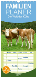 Familienplaner 2025 - Die Welt der Kühe mit 5 Spalten (Wandkalender, 21 x 45 cm) CALVENDO