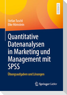 Quantitative Datenanalysen in Marketing und Management mit SPSS