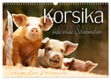 Korsika - süße, wilde Schweinchen (Wandkalender 2025 DIN A3 quer), CALVENDO Monatskalender