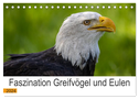 Faszination Greifvögel und Eulen (Tischkalender 2024 DIN A5 quer), CALVENDO Monatskalender