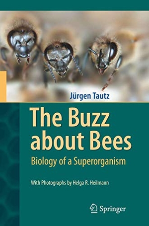 Tautz, Jürgen. The Buzz about Bees - Biology of a Superorganism. Springer Berlin Heidelberg, 2016.