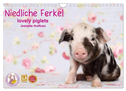 Niedliche Ferkel lovely piglets 2024 (Wandkalender 2024 DIN A4 quer), CALVENDO Monatskalender