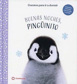 Wood, A. J. / Duthie, Ellen et al. Buenas noches, Pingüinito. Editorial Flamboyant, S.L., 2021.