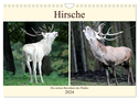 Hirsche - Die stolzen Bewohner des Waldes (Wandkalender 2024 DIN A4 quer), CALVENDO Monatskalender