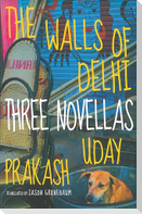 The Walls of Delhi