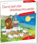 David und das Weihnachtswunder. Adventskalendergeschichte