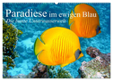 Paradiese im ewigen Blau. Die bunte Unterwasserwelt (Wandkalender 2025 DIN A2 quer), CALVENDO Monatskalender