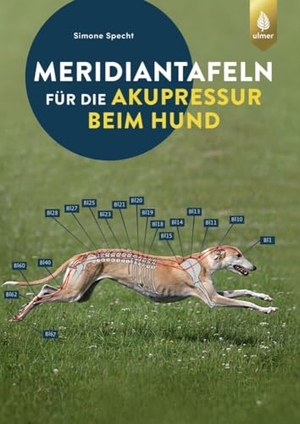 Specht, Simone. Meridiantafeln für die Akupressur beim Hund. Ulmer Eugen Verlag, 2022.