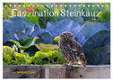 Faszination Steinkauz (Tischkalender 2024 DIN A5 quer), CALVENDO Monatskalender