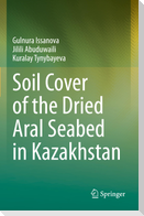 Soil Cover of the Dried Aral Seabed in Kazakhstan