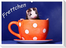 Frettchen - Ferrets (Wandkalender 2024 DIN A2 quer), CALVENDO Monatskalender