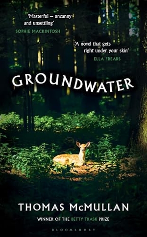 McMullan, Thomas. Groundwater - 'Complex, chilling, masterful' Financial Times. Bloomsbury Publishing PLC, 2025.