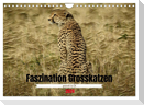 Faszination Grosskatzen gemalt in Öl (Wandkalender 2024 DIN A4 quer), CALVENDO Monatskalender