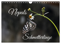 Nepals Schmetterlinge (Wandkalender 2025 DIN A4 quer), CALVENDO Monatskalender