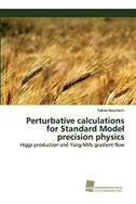 Perturbative calculations for Standard Model precision physics