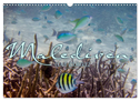 Unterwasserwelt der Malediven III (Wandkalender 2025 DIN A3 quer), CALVENDO Monatskalender