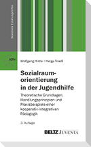 Sozialraumorientierung in der Jugendhilfe