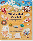 What a Shell Can Tell