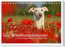 Der Windhundekalender (Tischkalender 2024 DIN A5 quer), CALVENDO Monatskalender