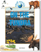On the Tundra