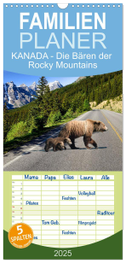 Familienplaner 2025 - KANADA - Die Bären der Rocky Mountains mit 5 Spalten (Wandkalender, 21 x 45 cm) CALVENDO