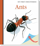 Ants