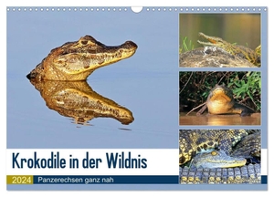 und Michael Herzog, Yvonne. Krokodile in der Wildnis (Wandkalender 2024 DIN A3 quer), CALVENDO Monatskalender - Krokodile - die Welt der Riesenechsen. Calvendo, 2023.