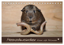 Meerschweinchen - Kleine süße Fellnasen (Tischkalender 2024 DIN A5 quer), CALVENDO Monatskalender