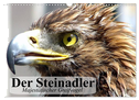 Der Steinadler. Majestätischer Greifvogel (Wandkalender 2024 DIN A3 quer), CALVENDO Monatskalender