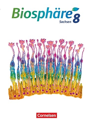 Goldberg, Axel / Hübner, Yvonne et al. Biosphäre Sekundarstufe I - 8. Schuljahr - Gymnasium Sachsen 2020 - Schülerbuch. Cornelsen Verlag GmbH, 2021.