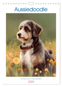 Aussiedoodle - Hunde zum Liebhaben (Wandkalender 2024 DIN A4 hoch), CALVENDO Monatskalender